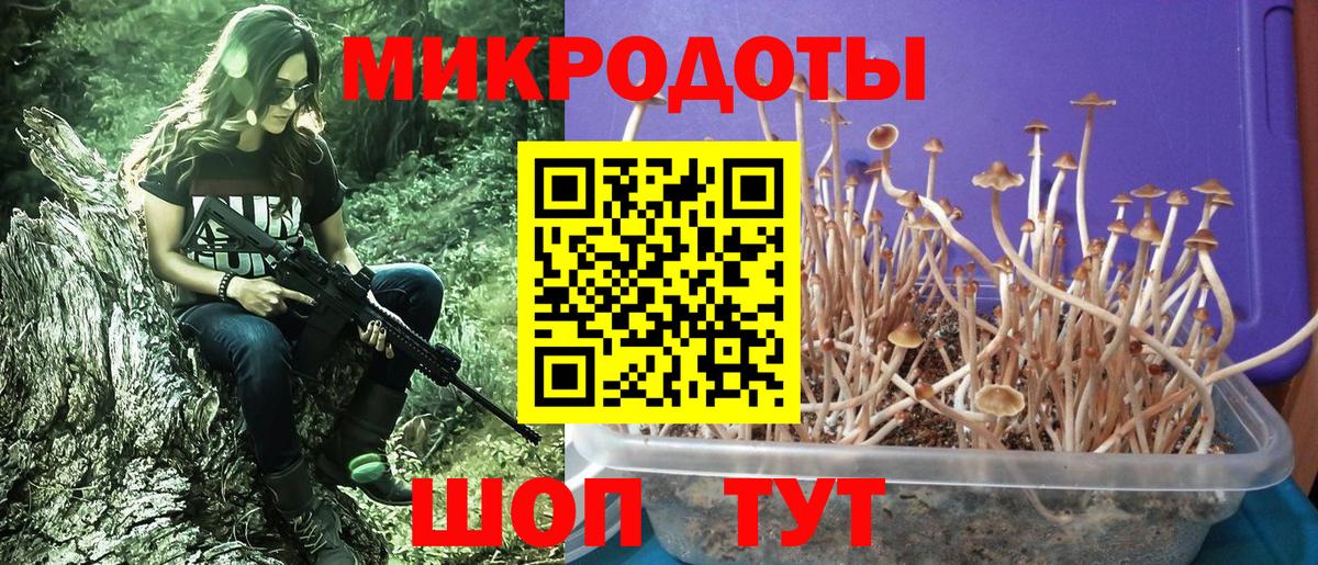 Псилоцибиновые грибы ЛСД  наркота  Ишимбай  Вход с VPN  Псилоцибиновые грибы MAGIC MUSHROOMS 